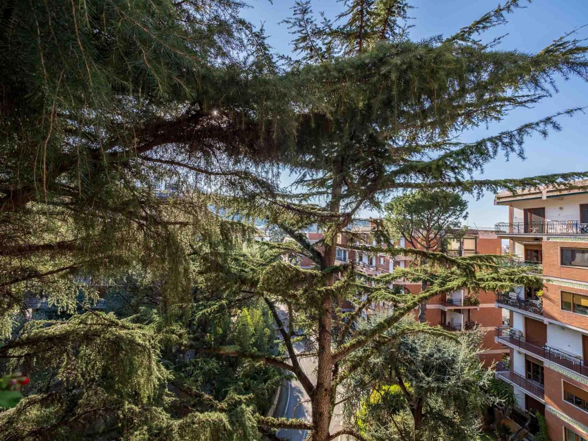 Pine House Sorrento Lejlighed Eksteriør billede